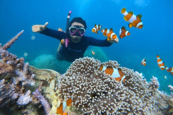 Petualangan Snorkeling: Menyelami Keindahan Bawah Laut yang Menakjubkan Menikmati keindahan bawah laut dengan snorkeling di perairan jernih, penuh dengan kehidupan laut yang berwarna-warni