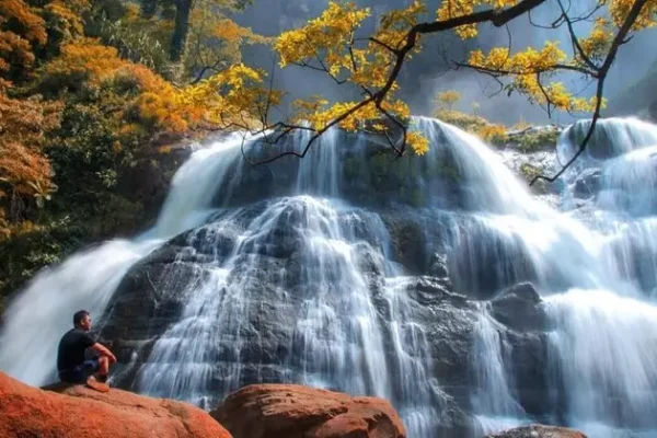 Keindahan Geopark Ciletuh: Surga Alam di Sukabumi Pemandangan spektakuler dari puncak bukit Geopark Ciletuh, menampilkan teluk dan perbukitan hijau yang memukau