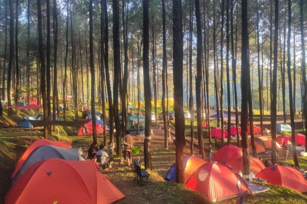 Veenuz Trawas: Surga Wisata di Tengah Alam yang Menakjubkan Pemandangan indah Veenuz Trawas dengan latar belakang Gunung Penanggungan, hutan hijau yang lebat, dan sungai yang mengalir jernih