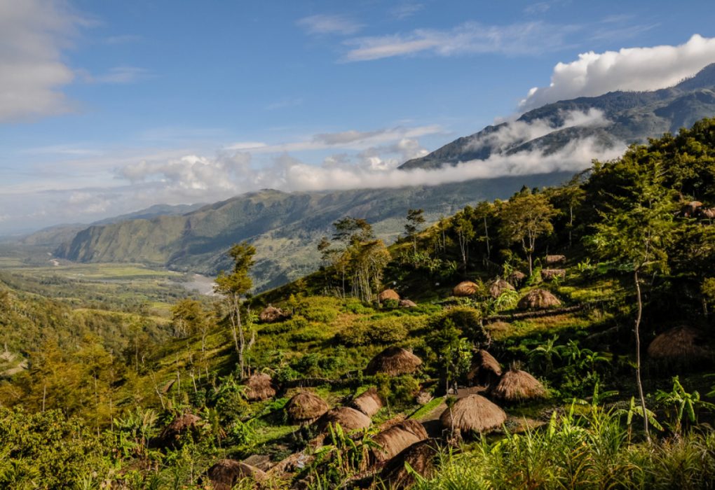Keindahan Taman Nasional Lorentz: Potret indah Taman Nasional Lorentz di Papua, dengan pemandangan pegunungan Jayawijaya yang megah dan hutan tropis yang lebat, rumah bagi ribuan spesies flora dan fauna