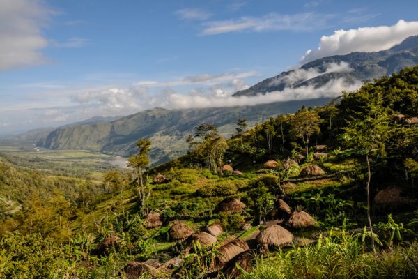 Taman Nasional Lorentz: Keajaiban Alam di Papua Keindahan Taman Nasional Lorentz: Potret indah Taman Nasional Lorentz di Papua, dengan pemandangan pegunungan Jayawijaya yang megah dan hutan tropis yang lebat, rumah bagi ribuan spesies flora dan fauna