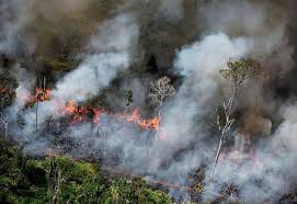 Potensi Kebakaran Hutan