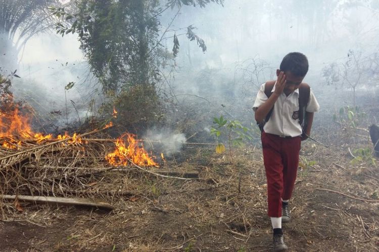 Potensi Kebakaran Hutan