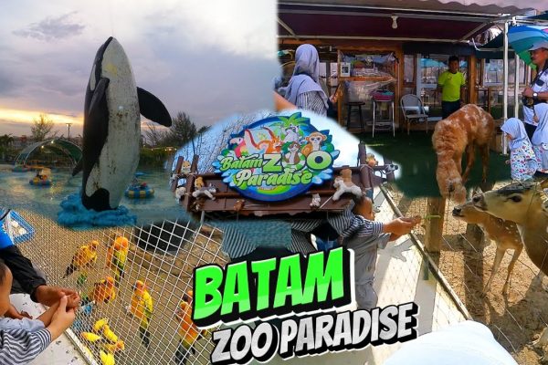 Batam Zoo Paradise: Surga Kebun Binatang Modern di Tengah Kota Batam Batam Zoo Paradise