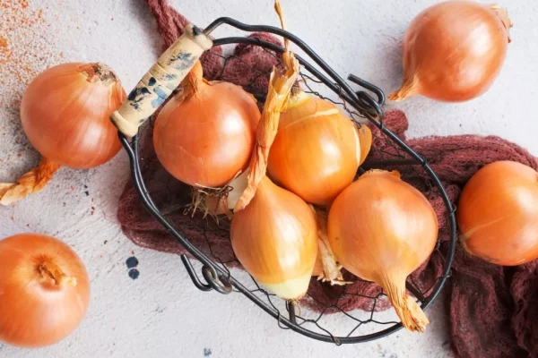 Bawang Bombay: Teman Setia di Dapur yang Sering Aku Remehkan Tapi Ternyata Penting Banget Bawang Bombay