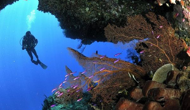 Kepulauan Togean