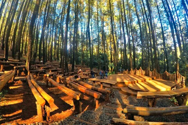 Daya Tarik Alam yang Tidak Berlebihan Tapi Berkesan