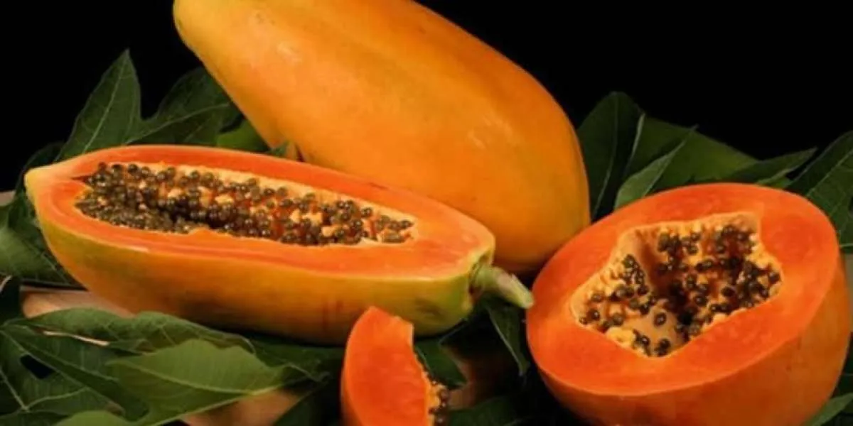 Manfaat Pepaya