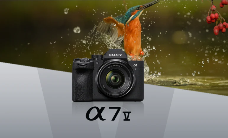 Mengapa Sony Alpha 7 Cocok untuk Fotografi Wedding