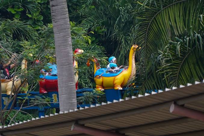 Aktivitas Seru yang Bisa Dilakukan di Ragunan