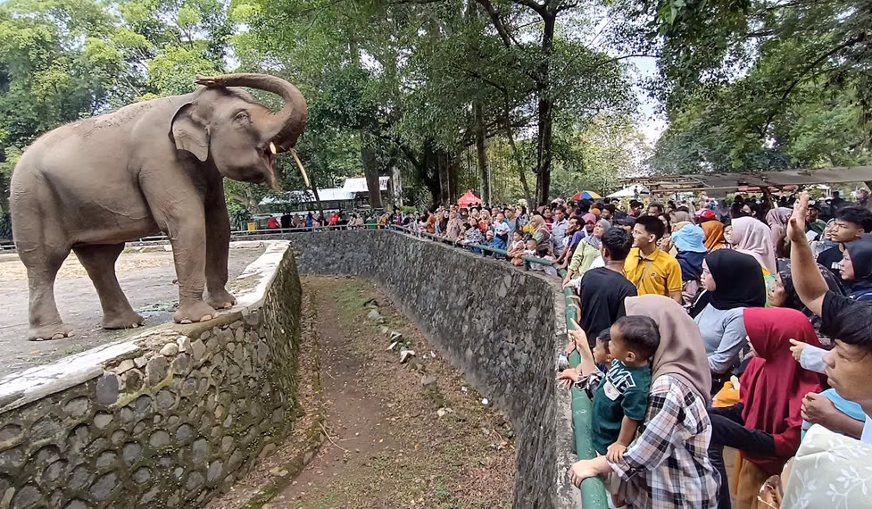 Daya Tarik Taman Margasatwa Ragunan yang Tidak Pernah Kehilangan Pengunjung
